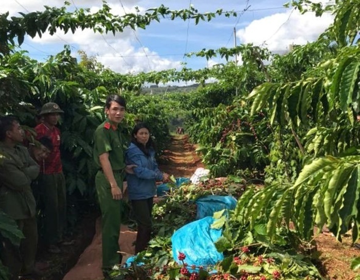 Phạm Thị Thu Thủy cùng tang vật. Ảnh: Công an tỉnh Gia Lai.