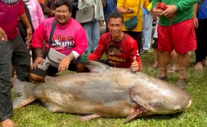 Nhóm người đàn ông bắt được con cá khổng lồ nặng 200kg trên sông. Ảnh: Newsflar/Người đưa tin