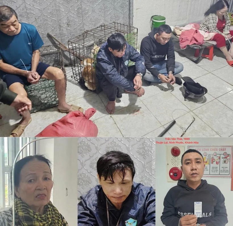 Nhóm nghi can bị khởi tố vì hành vi trộm chó. Ảnh: Pháp luật TP.HCM
