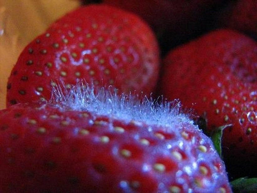  4 điều nên giảm giúp tốt cho quá trình giải độc gan - 2