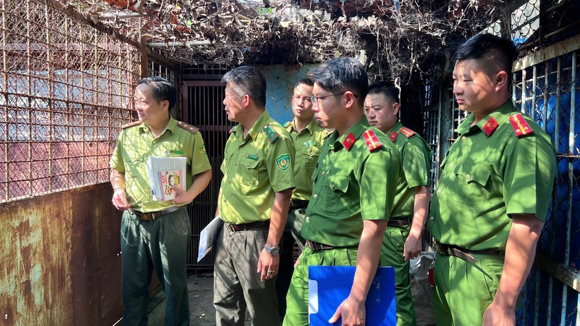 Đoàn kiểm tra tại cơ sở nuôi nhốt nhiều động vật nguy cấp, quý hiếm. Ảnh: Pháp luật TP.HCM