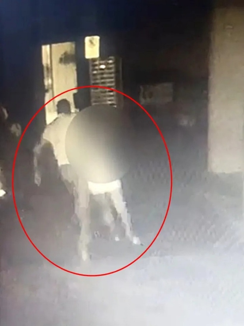 Hình ảnh ghi lại sự việc. Ảnh: &nbsp;Estadao