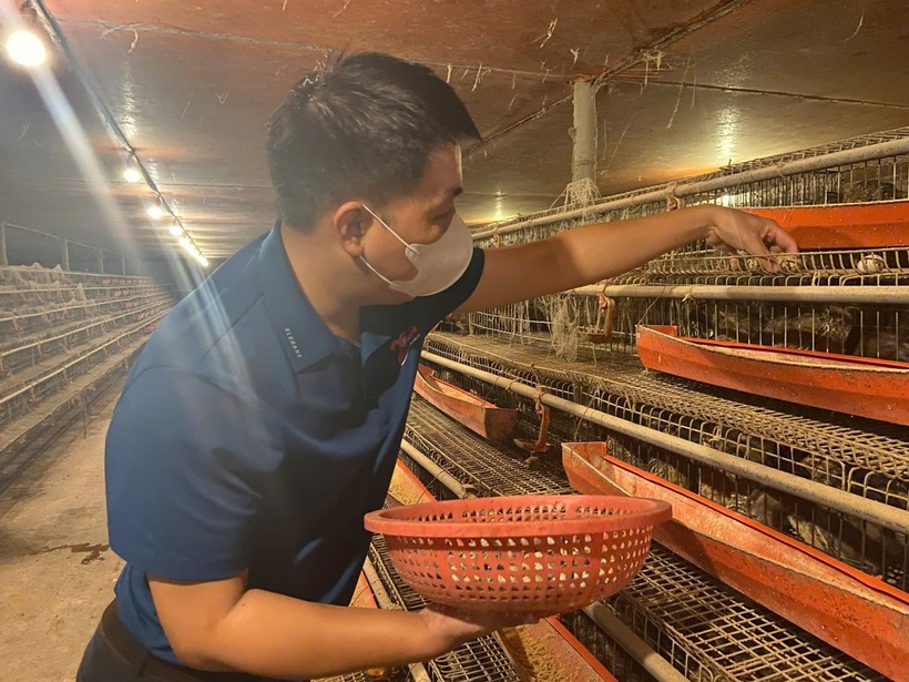 Có những thời điểm Nguyễn Quang Linh rơi vào bế tắc khi gặp phải nhiều khó khăn, áp lực trong việc chăn nuôi chim cút.