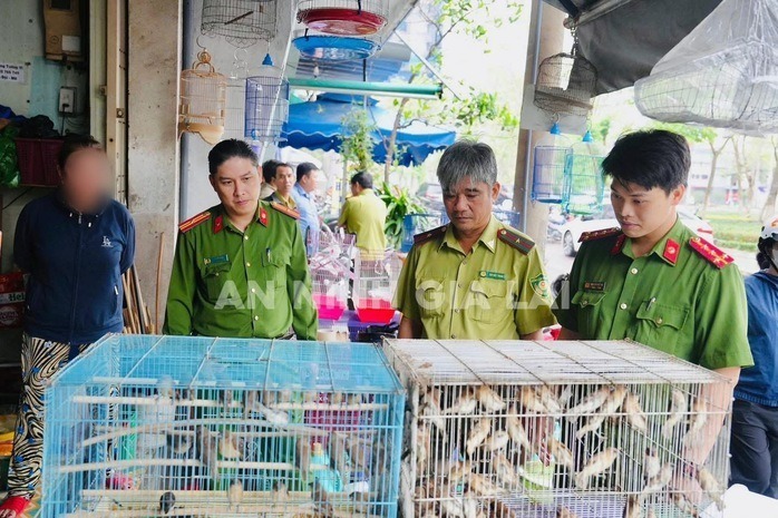 Tin thời sự ngày (20/12): Khi nào miễn phí vé đi metro Bến Thành-Suối Tiên? - 2