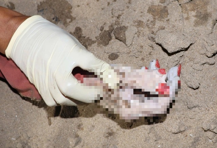 Phát hiện thi thể nữ trôi sông Sài Gòn, bàn tay bên phải có 6 ngón sơn màu đỏ. Ảnh: Tuổi Trẻ