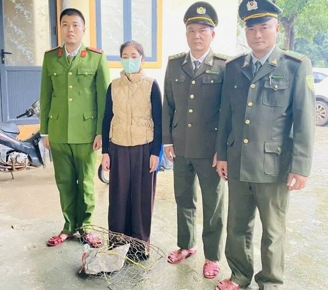 Bà V vận chuyển trái phép cầy vòi hương quý hiếm. (Ảnh: Công an xã Trường Sơn)