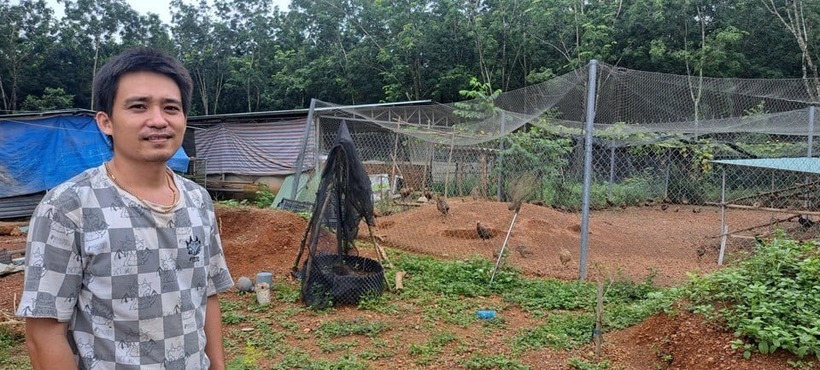 Anh Nghiệp Thế Vĩnh quyết định "bỏ phố về quê" để khởi nghiệp nuôi chim trĩ. Ảnh: Dân Việt