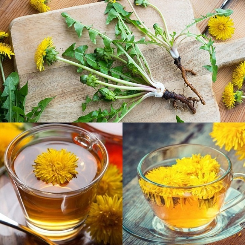  4 loại trà giúp tăng collagen, thanh nhiệt, mát gan - 1