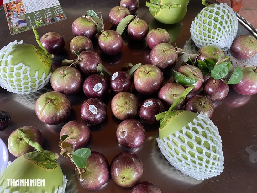 Sản phẩm vú sữa Nam Hương đã được chứng nhận OCOP 3 sao. Ảnh: Thanh niên