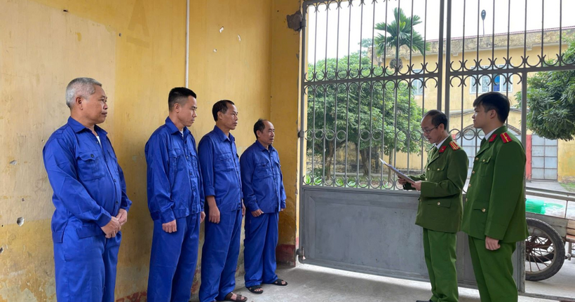 Các bị can bị khởi tố về tội trốn thuế.