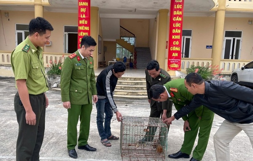Người dân tự nguyện giao nộp 2 cá thể cu li nhỏ. (Ảnh: Công lý)
