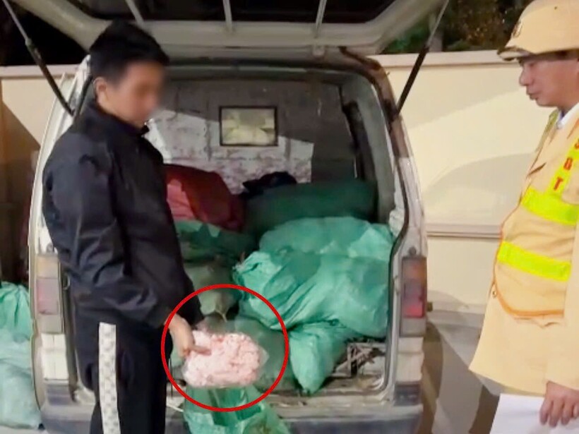 Toàn bộ số hàng là chân gà đông lạnh, đang bốc mùi hôi tanh.