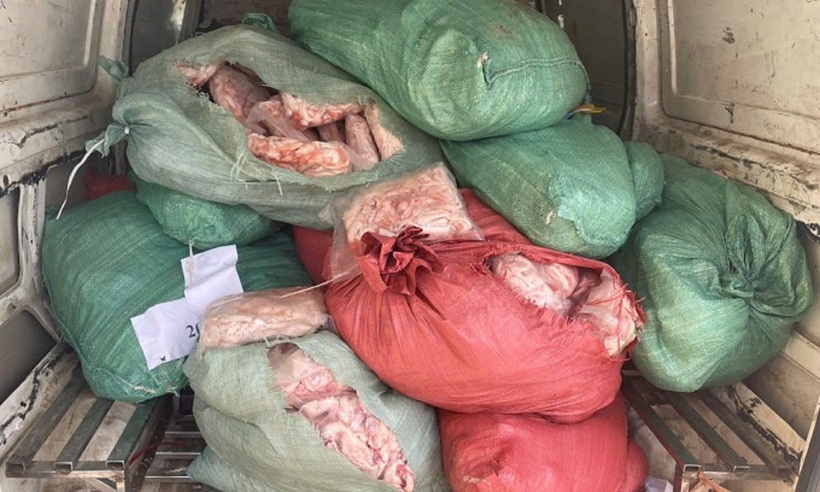 800kg chân gà bốc mùi, không có hóa đơn chứng từ bị phát hiện tại Hà Nội. Ảnh:&nbsp;DMS