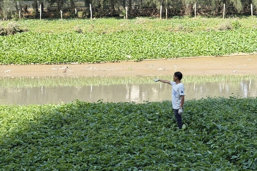 Người dân phát hiện thi thể nam giới trên rạch ở phường Tân Mỹ. (Ảnh: Dân trí)