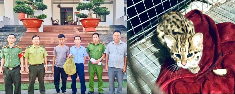Các lực lượng chức năng tiếp nhận mèo rừng do người dân giao nộp. Ảnh: Công an Đồng Nai