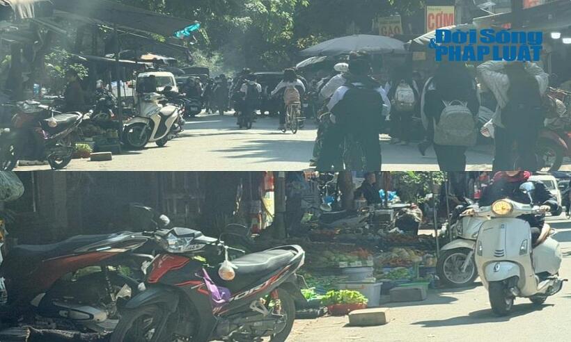 Chợ cóc tại phố Dương Lâm, phường Hà Đông, Hà Nội.