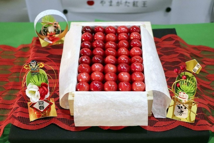 Thùng anh đào 1,55 triệu yen được đấu giá tại tỉnh Yamagata, Nhật Bản. Ảnh: KYODO