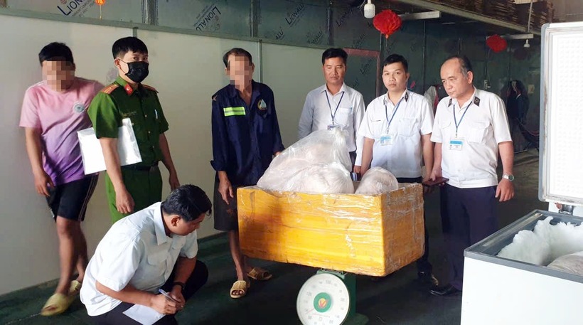 Lực lượng chức năng kiểm tra kho hàng phát hiện khoảng 2 tấn thịt heo đông lạnh đã biến đổi màu sắc không rõ nguồn gốc. Ảnh: PLO.