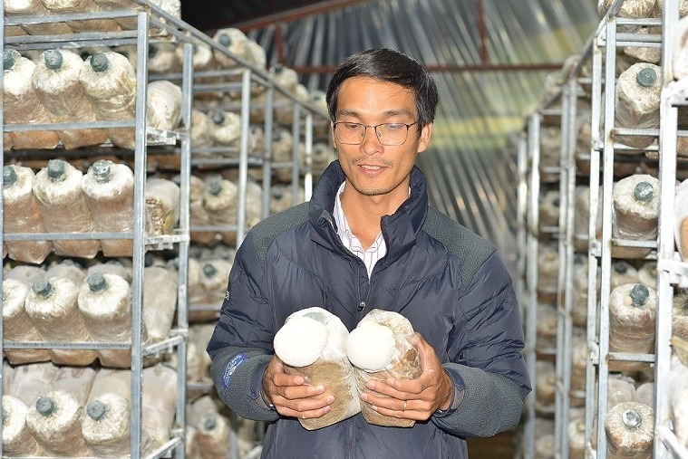 Anh Nguyễn Minh Thuận trồng nấm hầu thủ. Ảnh: Thương hiệu & Sản phẩm