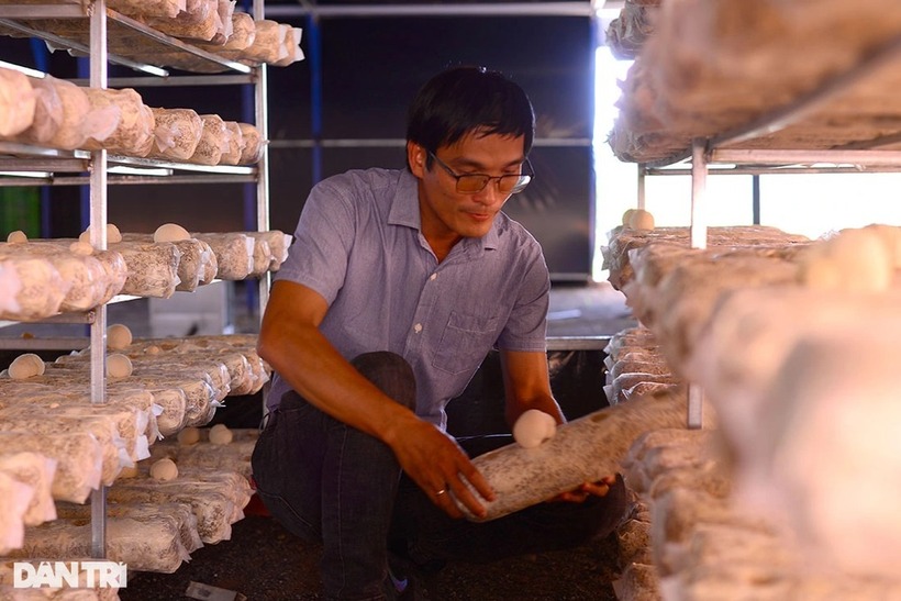 Anh Thuận mở rộng khu sản xuất nấm hầu thủ và nấm hương lên tổng diện tích 6.000m2. Ảnh: Dân trí