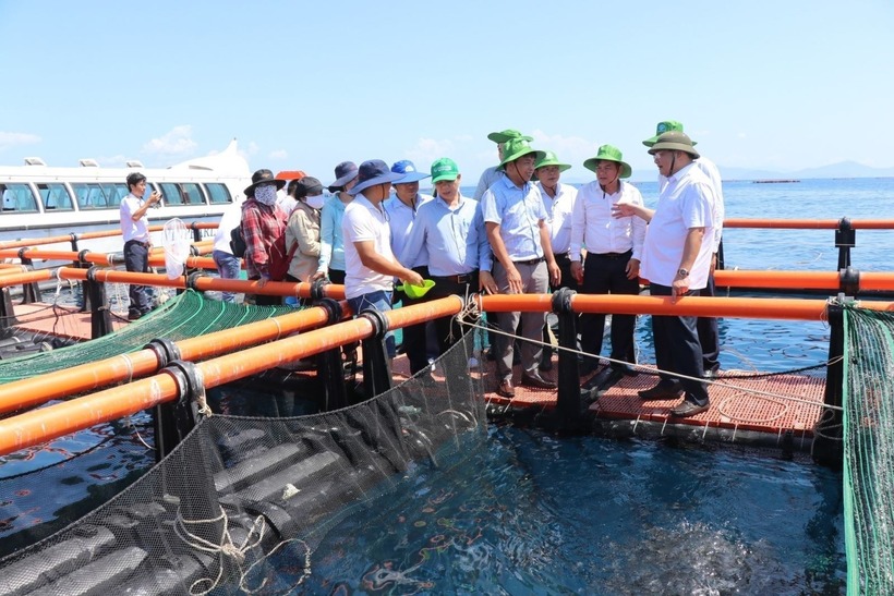 Lồng nuôi cá biển xa bờ của hợp tác xã nuôi biển Cam Ranh là mô hình ứng dụng công nghệ hiện đại, hướng tới mục tiêu phát triển ngành nuôi biển tỷ USD của tỉnh Khánh Hòa. Ảnh: Đặng Tuấn/TTXVN