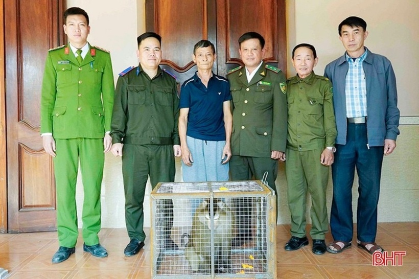 Ông Trần Công Khanh bàn giao cá thể khỉ đuôi lợn cho lực lượng chức năng. (Ảnh: Báo Hà Tĩnh)
