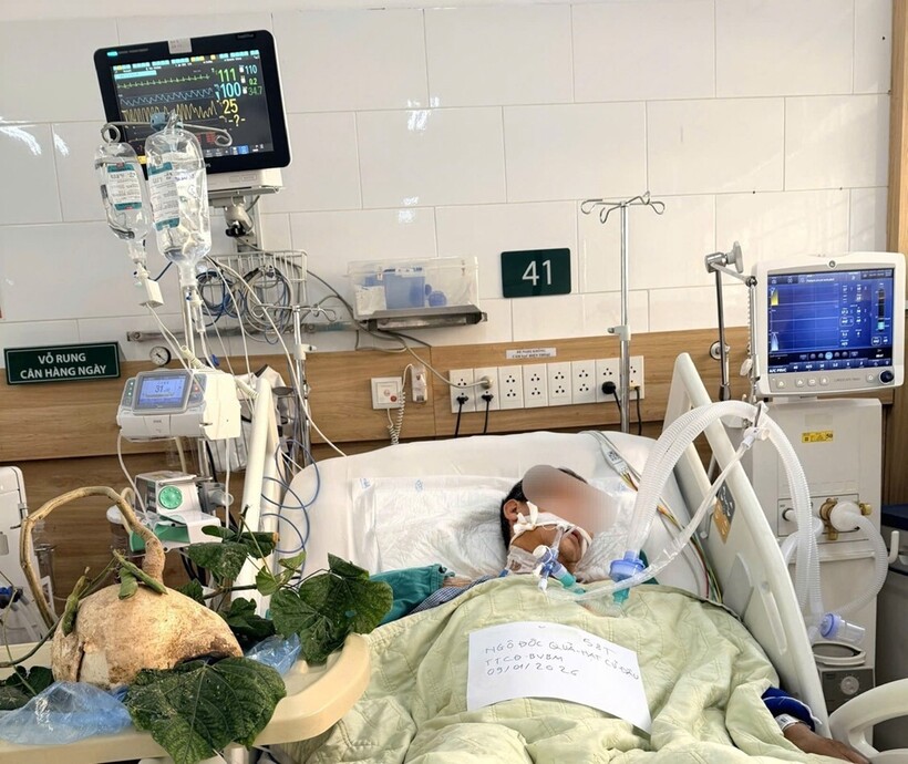 Bệnh nhân nam 58 tuổi rất nặng, hôn mê, phải thở máy khi nhập viện