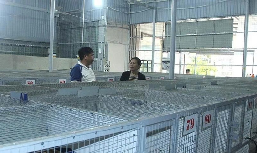 Hệ thống chuồng nuôi chồn hương của anh Lê Văn Hùng. Ảnh: Kinh tế Chứng khoán Việt Nam