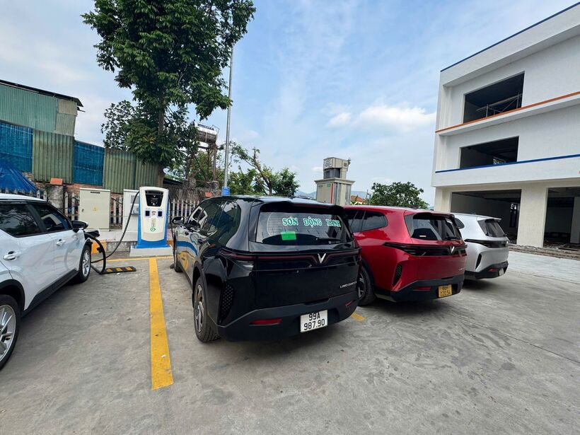 Khả năng tối ưu lợi nhuận của xe điện tạo động lực cho anh Tịnh đầu tư thêm Limo Green.