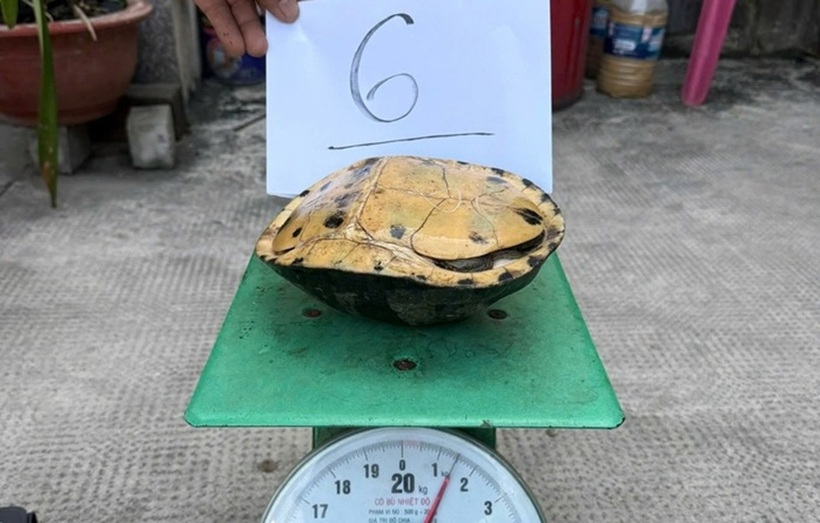 Công an phường An Hội Đông thu hồi tài sản bị mất trộm. Ảnh: Người lao động