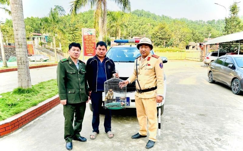 Người dân giao nộp cá thể cu li quý hiếm cho lực lượng chức năng. Ảnh: Lao động