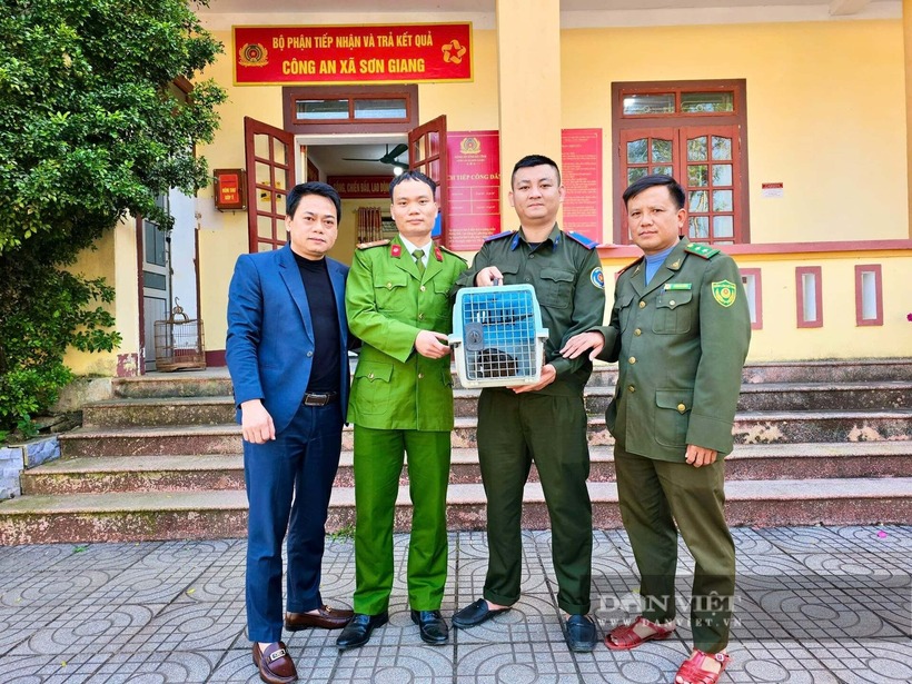Vườn Quốc gia Vũ Quang tiếp nhận động vật hoang dã từ các lực lượng chức năng. Ảnh: Dân Việt