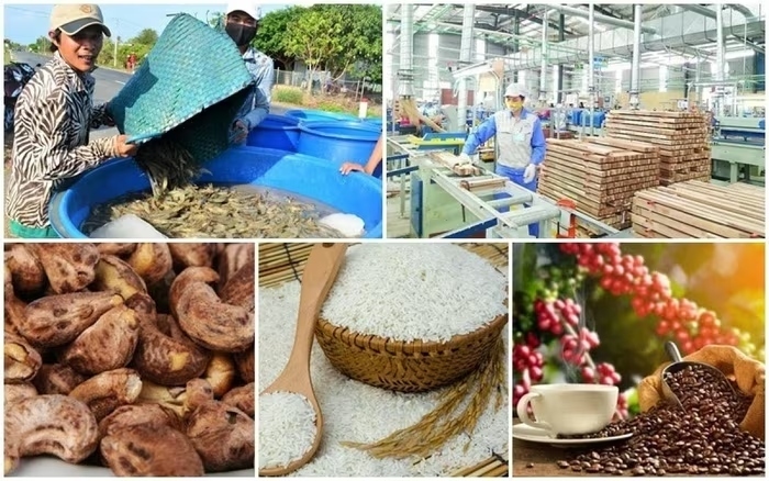 Năm 2025 khép lại đánh dấu cột mốc lịch sử đối với ngành Nông nghiệp Việt Nam. (Ảnh minh họa).