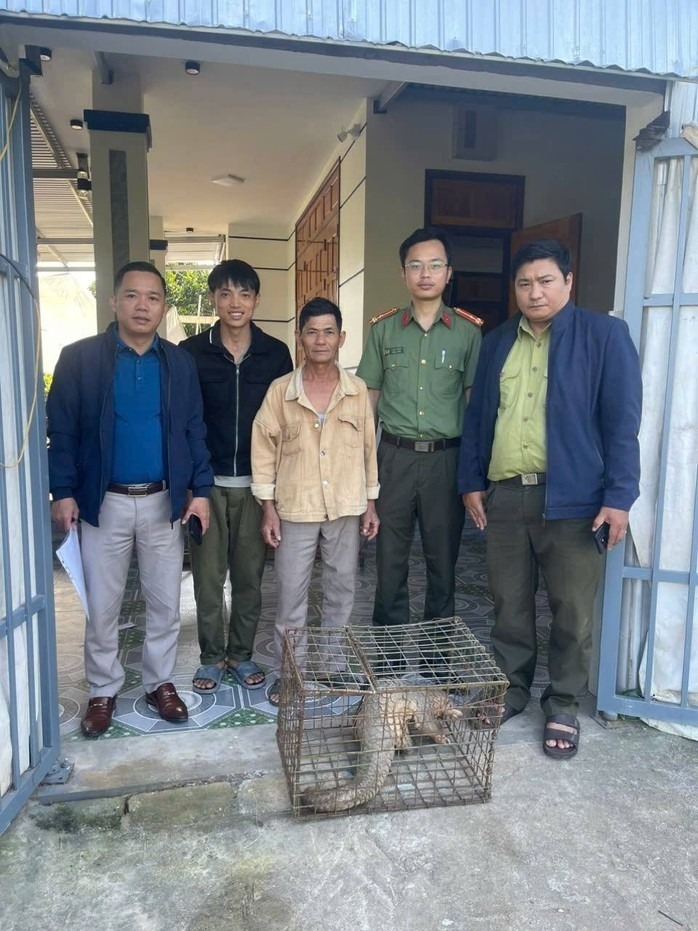 Con tê tê quý hiếm được giao nộp cho các ngành chức năng để thả về với môi trường tự nhiên. Ảnh: Người lao động