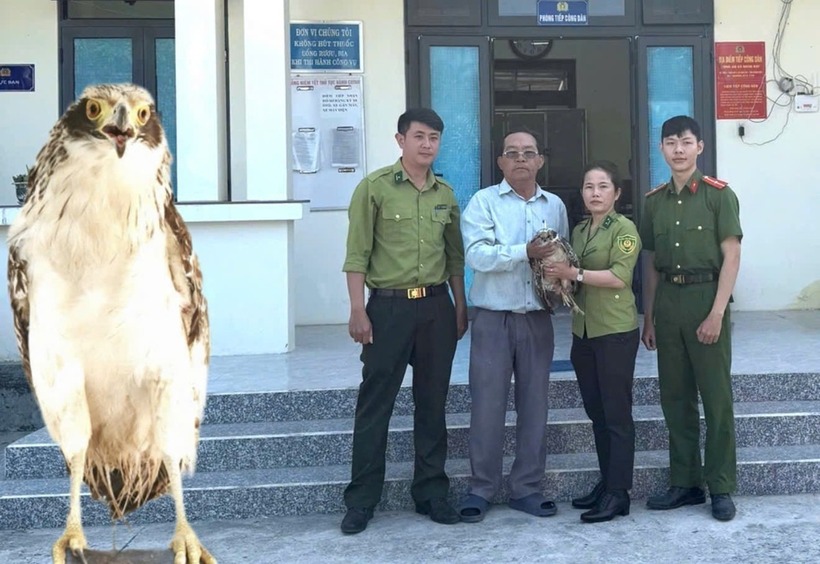 Kiểm lâm Quảng Ngãi tiếp nhận cá thể chim diều hoa Miến Điện. Ảnh: Tri thức & Cuộc sống