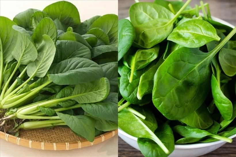 7 thực phẩm giúp gan hoạt động tốt hơn mà ít người để ý - 1