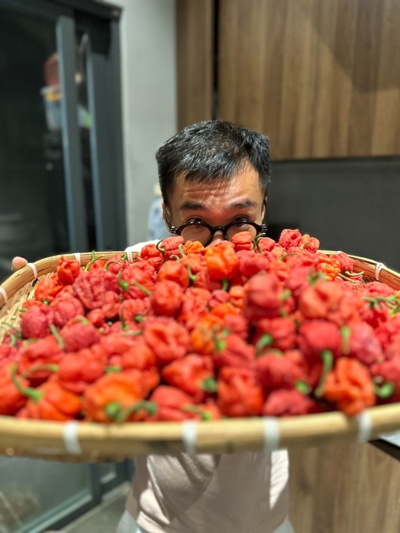 Anh Đình Sơn khoe mẻ ớt Carolina Reaper đỏ cay nhất thế giới vừa thu hoạch để làm tương ớt. Ảnh: Thanh niên