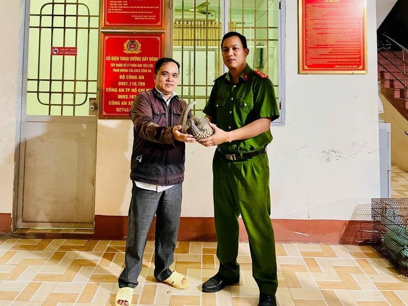 Người dân bảo vệ và giao nộp tê tê quý hiếm cho cơ quan công an. Ảnh: Lao động