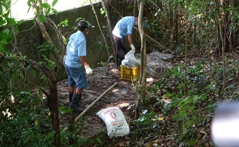 Lực lượng chức năng thực hiện công tác tiêu hủy. (Ảnh: Lao động)