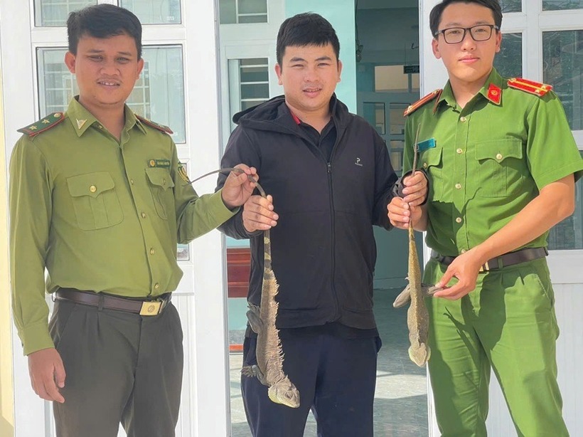 Anh Vòng Lỷ Ôn (ở giữa) bàn giao 2 cá thể Kỳ Tôm cho lực lượng chức năng. (Ảnh: Công an tỉnh Lâm Đồng)