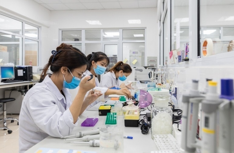 Sinh viên Trường Đại học Y Hà Nội thực hành tại phòng thí nghiệm. (Ảnh: Hà Nội Mới).