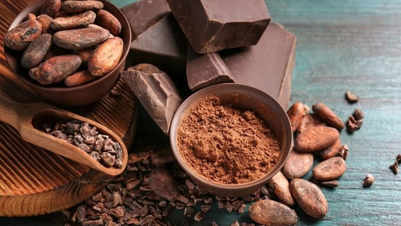 Cacao là một trong những loại thực phẩm chứa nhiều axit oxalic.