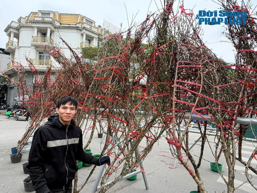 Anh Hoàng một tiểu thương bán đào cành tại khu vực phố Tố Hữu (Hà Đông, Hà Nội).