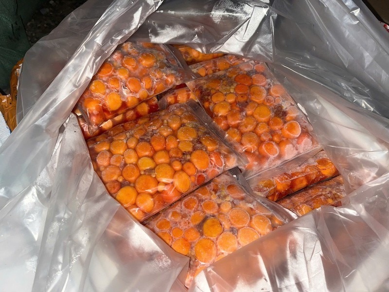  Thu giữ hơn 10 tấn thực phẩm đông lạnh gồm lạp xưởng, nầm heo, tràng trứng không rõ nguồn gốc - 2