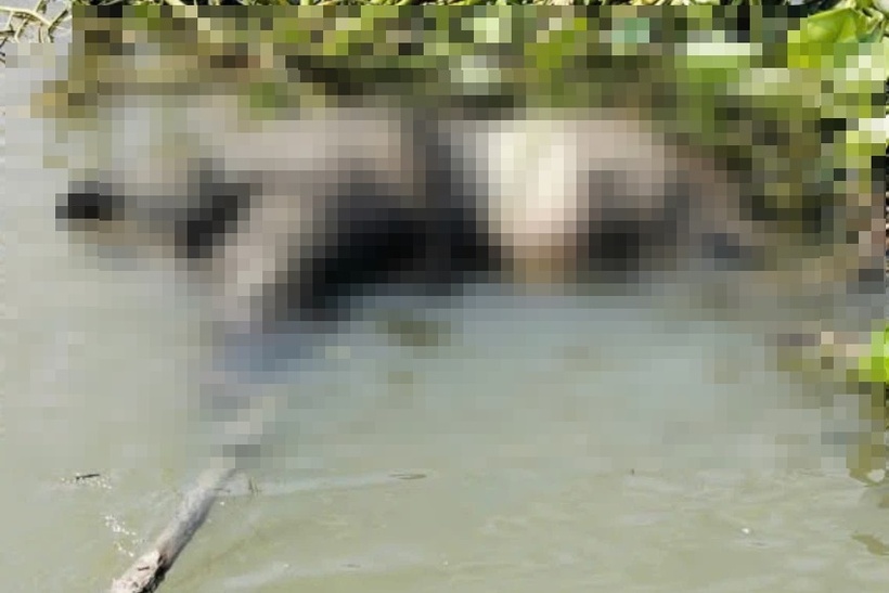 Nam thanh niên 24 tuổi tử vong dưới sông Tắc sau khi gọi điện cho bố. (Ảnh: PLO)