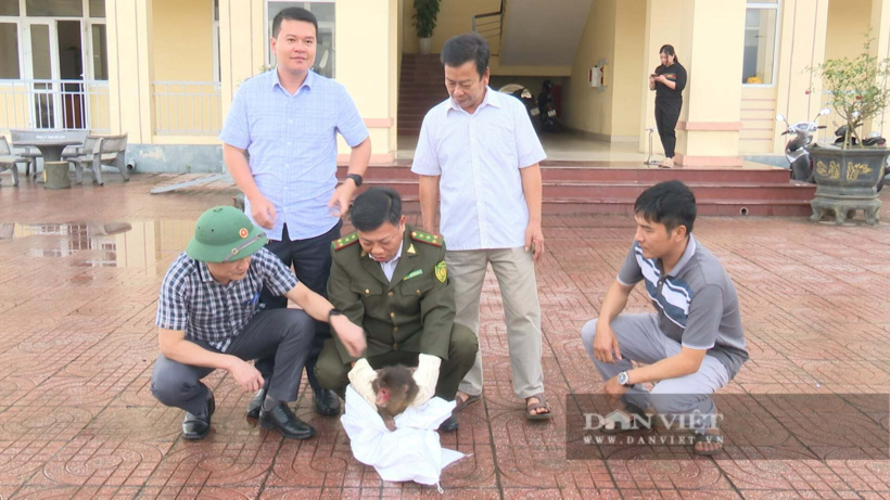 Cơ quan chức năng tiếp nhận con khỉ mặt đỏ. Ảnh: Dân Việt