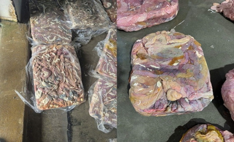 Bên trong kho lạnh là các tảng lòng lợn được cấp đông, đóng bánh với khối lượng lớn. (Ảnh: Công an TP.Hà Nội).