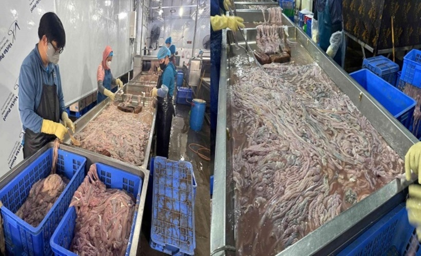 Nhiều đoạn lòng đã chuyển màu, bốc mùi đang được chế biến. (Ảnh: Công an TP.Hà Nội).