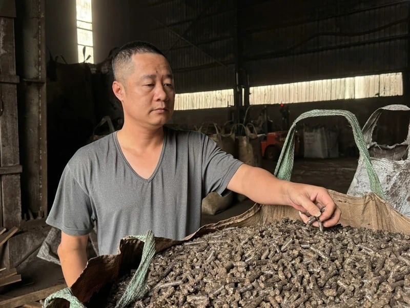 Anh Trịnh Thái Sơn kiểm tra than viên nén trước khi xuất khẩu. Ảnh: Dân Việt