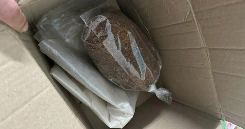 Tobaco là cần sa tổng hợp giá rẻ, dễ mua, gây kích thích thần kinh, ảo giác mạnh và có thể gây tổn thương não khi sử dụng lâu dài. (Ảnh: C04).